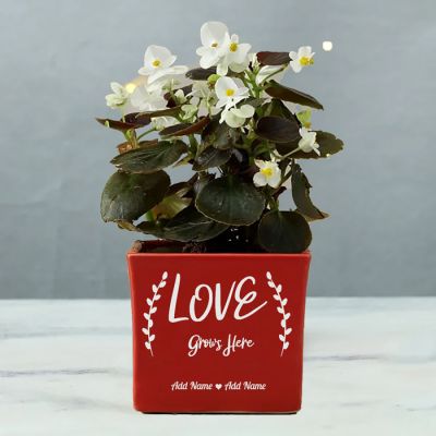 Love Grows Here Personalized Ceramic Planter